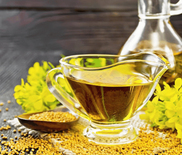 Rapeseed Oil Is Bad for You: A Complete Guide to Nutrition, Health Benefits, Risks, and Safe Usage